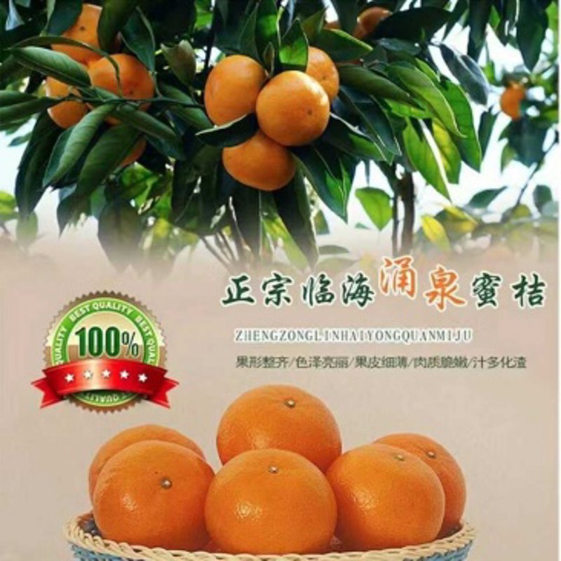 水果批发：选择最合适的供应商