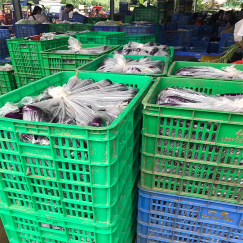 临海农产品批发市场的“新鲜”挑战