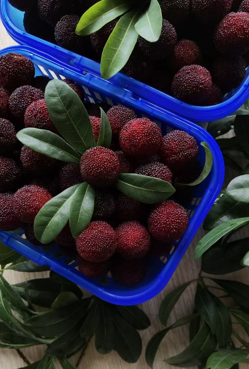 蔬菜配送：一场新鲜与便捷的革命