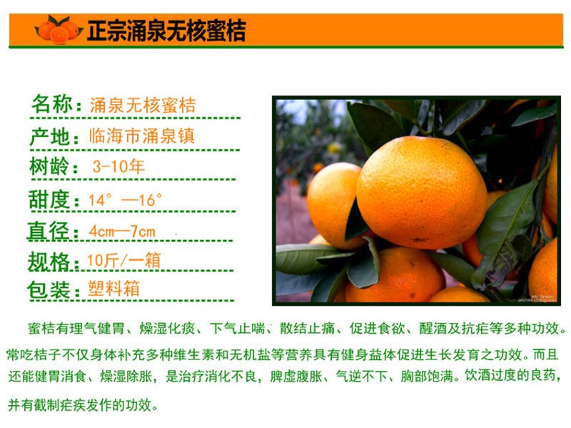 水果批发：从新手到专业人士的全程指南